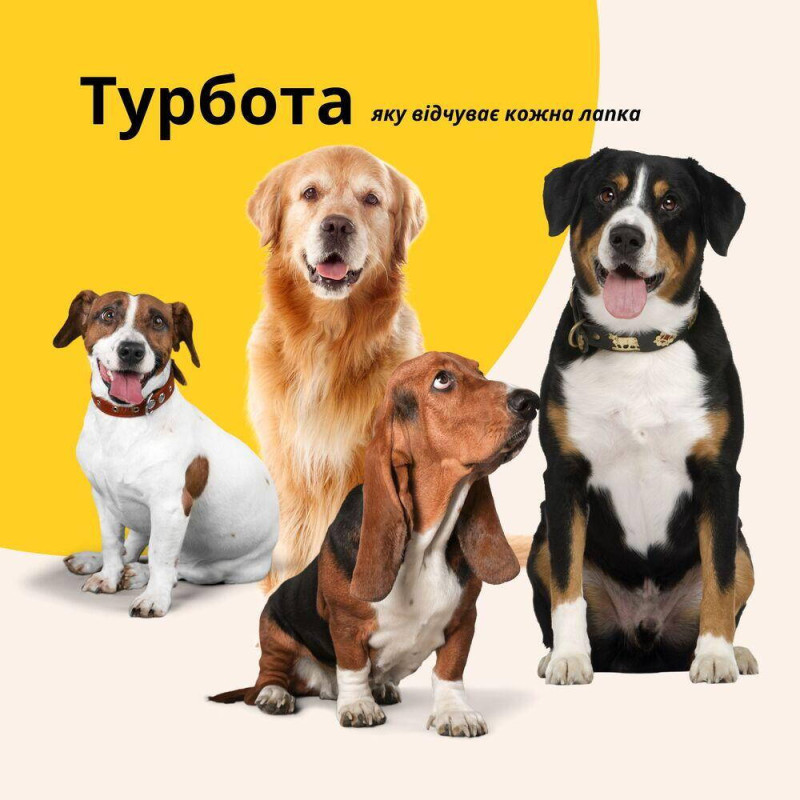 Лежанка матрац 60х80х10 см лежак для хатніх тварин розмір M з чохлом на блискавці та подушкою для собак