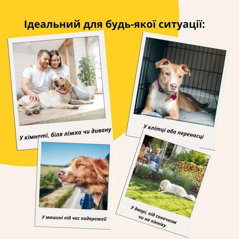 Лежанка матрац 80х120х12 см лежак для хатніх тварин розмір XL з чохлом на блискавці та подушкою для собак