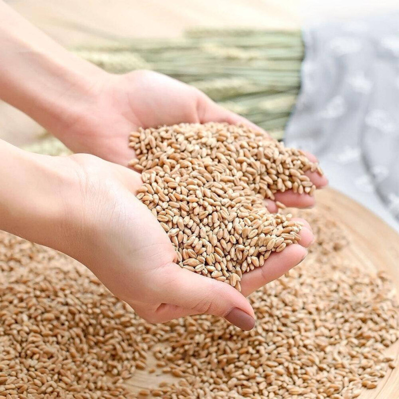 Грелка з зерном пшениці IDEIA 44х46х24 см блатитна