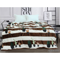 Velsoft (microfiber) blanket ALM1906