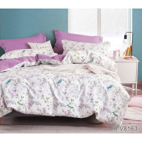 Bed Linen Set with Companion Design R-V8163