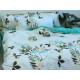 Bed Linen Set with Coordinating Design R-T9143