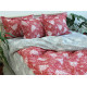 Bed Linen Set with Coordinating Design R-T9263
