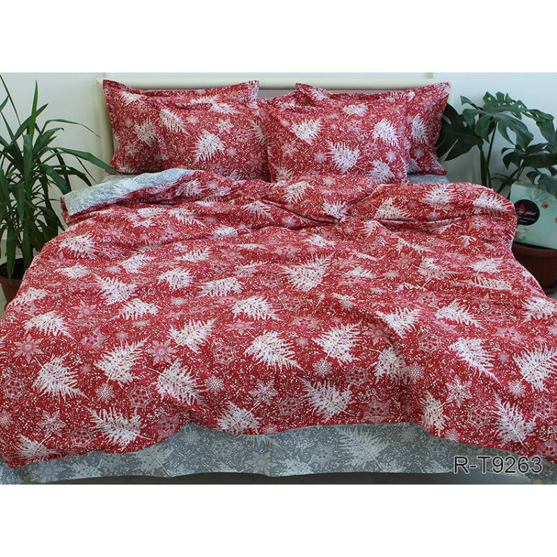 Bed Linen Set with Coordinating Design R-T9263
