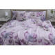 Bed Linen Set with Coordinating Design S546