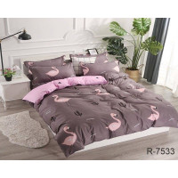 Комплект постільної білизни R7533a