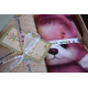 Дитячий комплект постільної білизни First Choice Baby Digital Satin Alfie