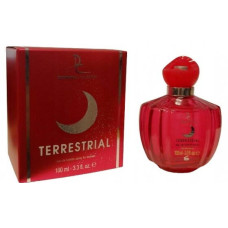 Dorall Collection Terrestrial