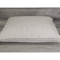 Bio Cotton Silicone Pillow 50x70 cm (72092)