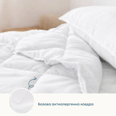 Ковдра FRIENDLY "WHITE COMFORT" (350г/м2), 200x220