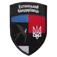 Estonian Banderite Estonia Flag 7х10 cm Embroidered Hook-and-Loop Chevron Patch