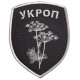 Шеврон на липучці Батальон Укроп 8х10 см сірий вишитий патч нашивка