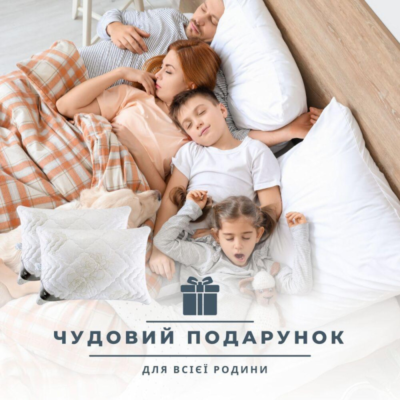 Набір подушок 2 шт Air Dream Classic IDEIA 50х70 см із блискавкою + ПОДАРУНОК 200 г додаткового наповнювача