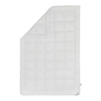 Ковдра SoundSleep Dream демісезонна лебединий пух 140х205 см (93255981)