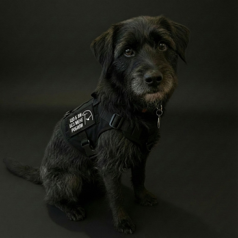 Набір шевронів 2 шт щоб Ви без мене робили чорний 5х8 см, іроничний патч, нашивка, шеврон з липучкою