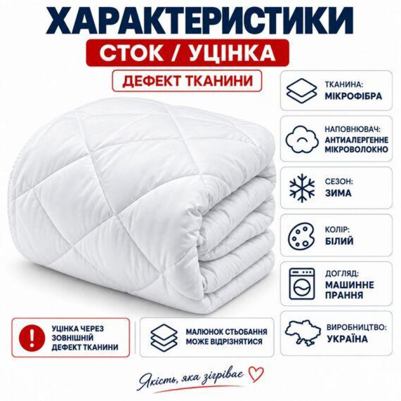 Зимова ковдра євро 200×220 см із мікрофібри IDEIA