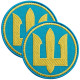 Набір шевронів 2 шт на липучці Морська піхота Тризуб круглий жовто-блакитний 8 см вишитий патч нашивка шеврон