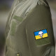 Набір шевронів 2 шт з липучкою Череп Карателя на Прапорі України 5х8 см вишитий патч шеврон Україна Punisher