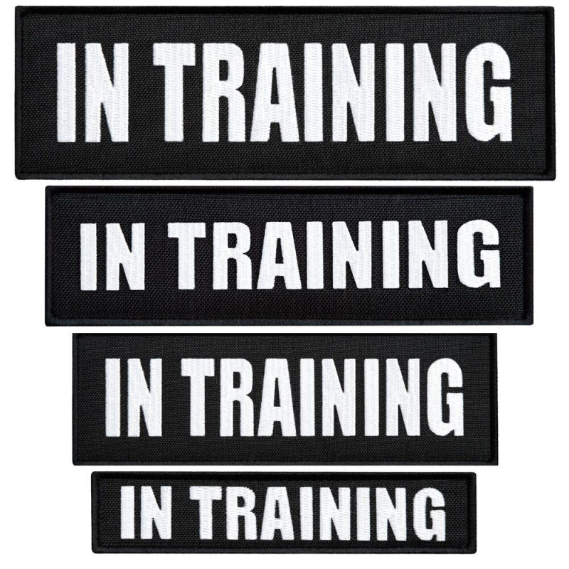 Набір шевронів 4 шт з липучкою In Training для службових собак, кінологів, кінологічна служба, нашивка шеврон патч