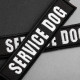 Набір шевронів 4 шт з липучкою Service Dog для службових собак, кінологів, кінологічна служба, нашивка патч шеврон