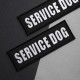 Набір шевронів 4 шт з липучкою Service Dog для службових собак, кінологів, кінологічна служба, нашивка патч шеврон