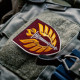 Набір шевронів 2 шт ДШВ навчальний центр 199 7х8,2 см, вишитий патч нашивка шеврон