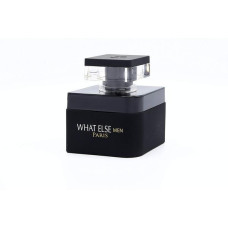 Prestige Parfums What Else Men парфюмированная вода 100 мл