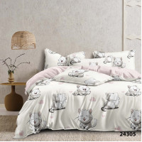 Комплект постільної білизни Viluta Підлітковий Ранфорс 24305