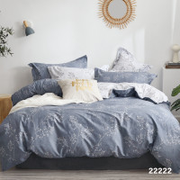 Комплект постільної білизни Viluta Євро Ранфорс 22222 з простирадлом на резинці 180х200