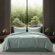 Комплект постільної білизни Viluta Євро Tencel (Тенсел) Т-18B