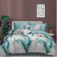 Комплект постільної білизни Євро ранфорс 25378 с простирадлом на резинці 160х200