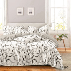 Комплект постільної білизни Євро ранфорс 24290 с простирадлом на резинці 180х200
