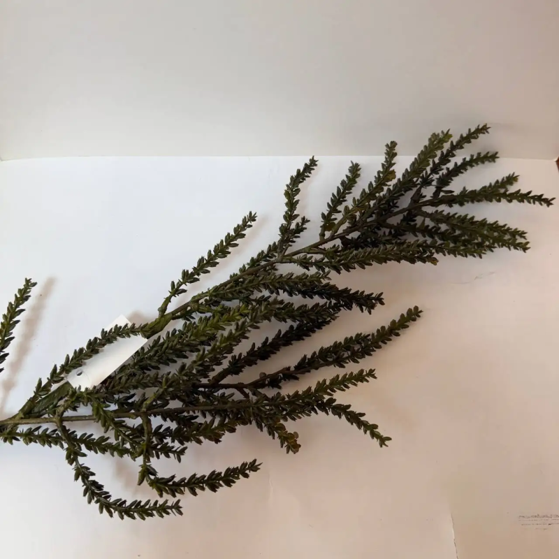 Декоративна гілка «Autumn Calm», 70 см зелена