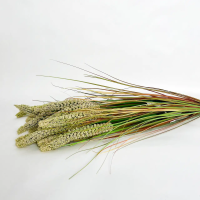 Декоративна гілка «Field Harmony», зелено-білий, 45 см