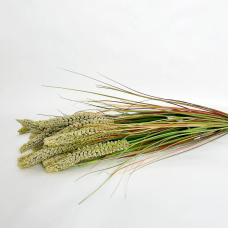 Декоративна гілка «Field Harmony», зелено-білий, 45 см