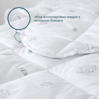 Ковдра DREAM "COTTON" (150 г/м2)  в пакеті, 180x210