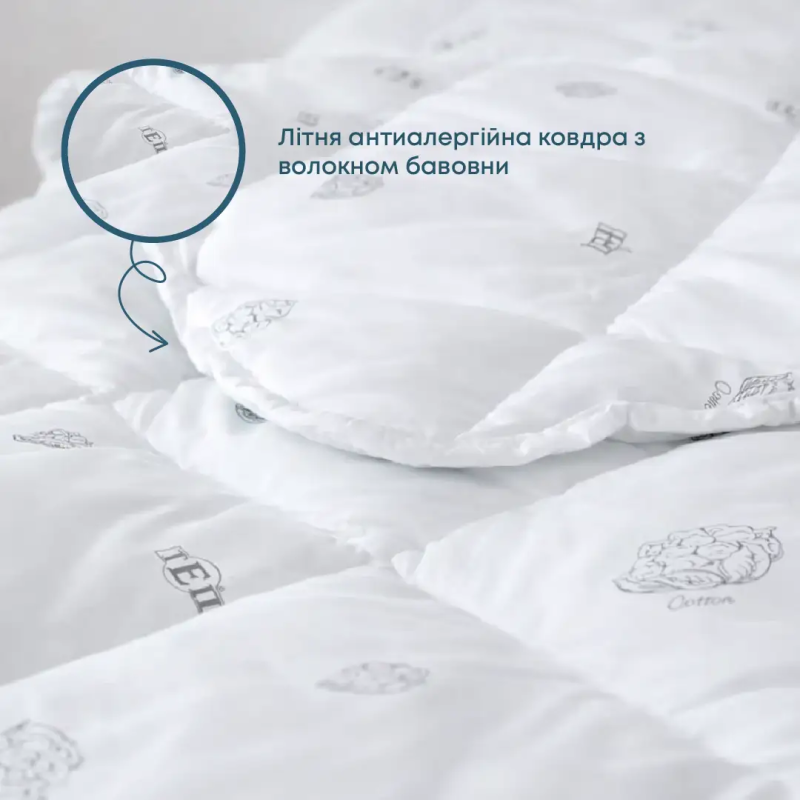 Ковдра DREAM "COTTON" (150 г/м2)  в пакеті, 200x210