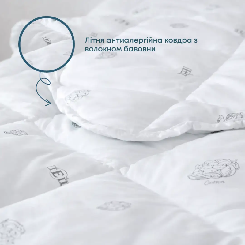 Ковдра DREAM "COTTON" (150 г/м2), 200x210