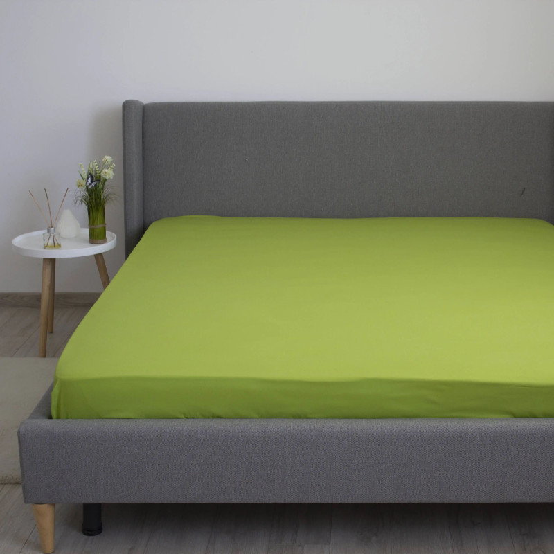 Простирадло на резинці Herbal Green 160×200 з ранфорсу