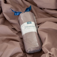 Простирадло "НАТХНЕННЯ" з резинкою Мокко, 180x200