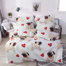 Евро постельный комплект З0044