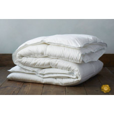 Одеяло с натуральным чехлом детское 0012