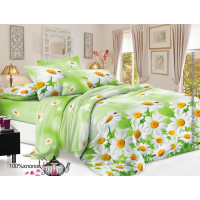 Постельный комплект Ромашки на салатовом