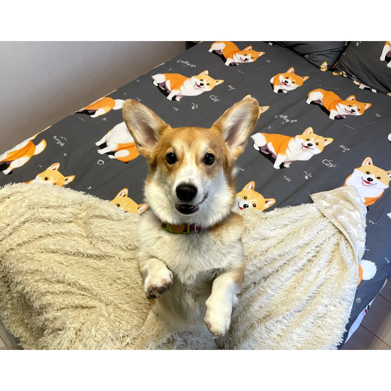 Постельный комплект Корги