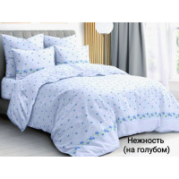 Постільний комплект Блакитна ніжність